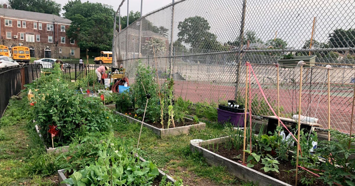 More gardens, green space might boost life spans in poorer ...