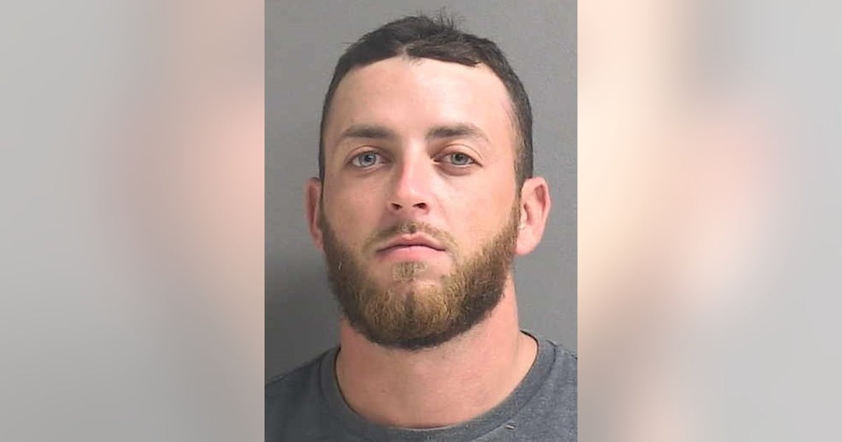 Florida man facing 17 counts of possessing child pornography, sheriff's ...