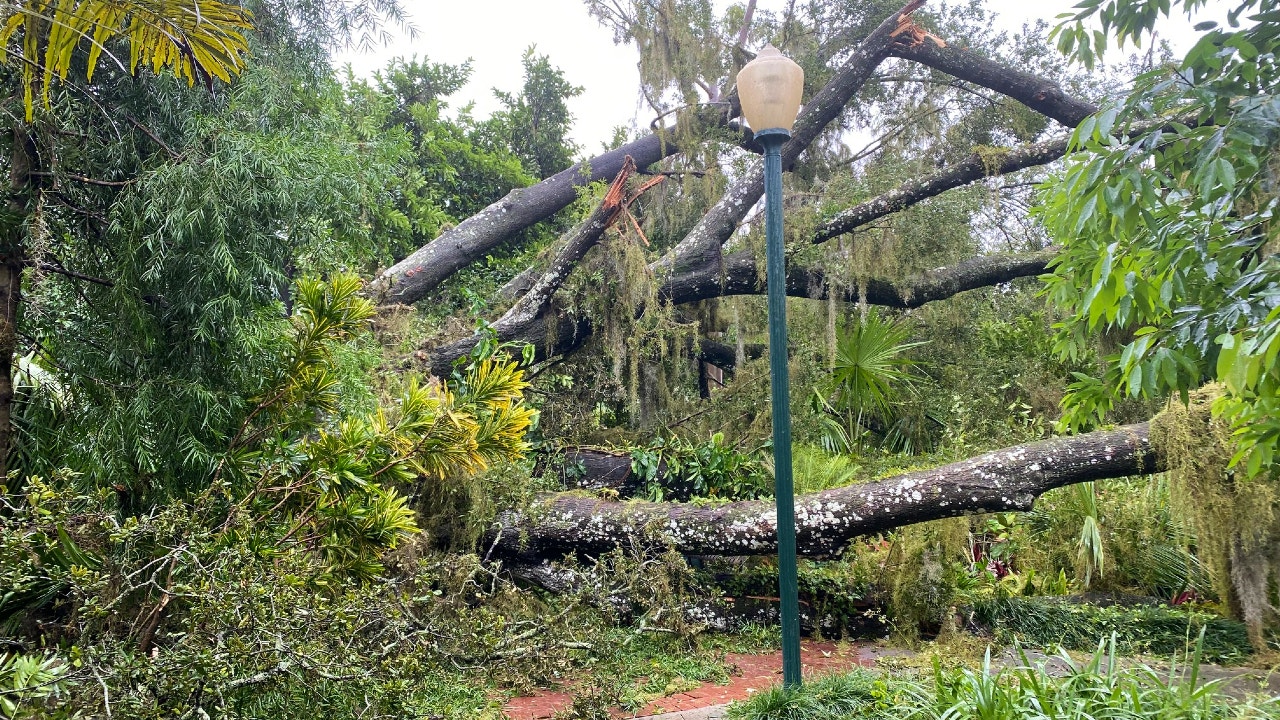 Orlando's Leu Gardens remains closed due to damage from Ian