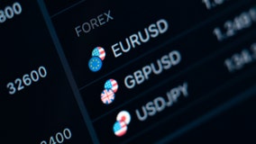 Florida man pleads guilty to $30M forex investment fraud scheme