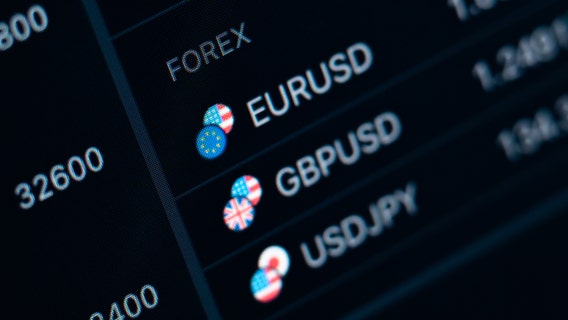 Florida man pleads guilty to $30M forex investment fraud scheme