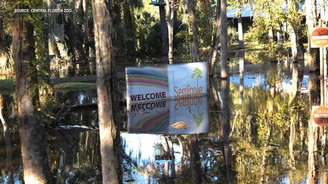 Central Florida Zoo to open weeks after Hurricane Ian damage, flooding: What you need to know