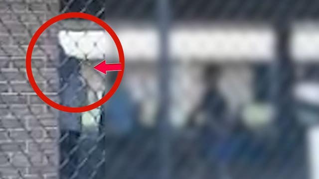 Florida teacher accused of hitting a child cleared of wrongdoing