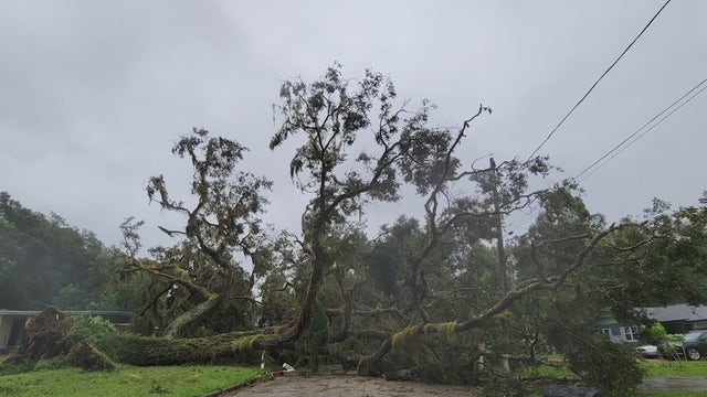 Trapped in neighborhood, Florida residents work together to remove fallen tree