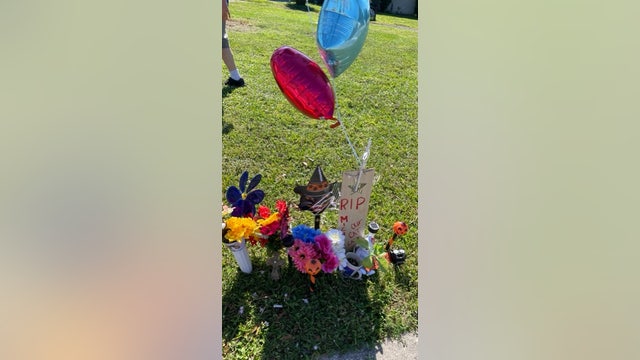 'Heart of Gold': Woman known to feed neighborhood cats struck, killed in Orlando; suspect driver sought