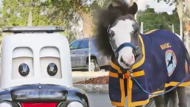 'Miniature' horse sworn in as police officer in Central Florida city