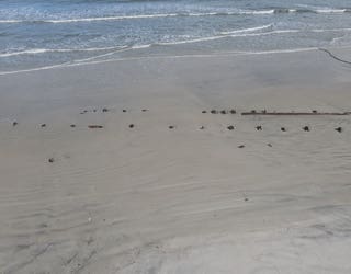 Mystery items found on Daytona Beach Shores after beach eroded by Hurricane  Nicole | FOX 35 Orlando