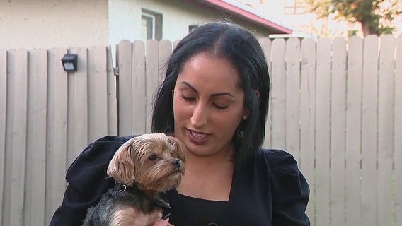 Apple AirTag credited for reuniting lost dog with its owner