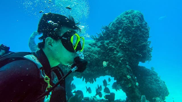Hurricane Ian ruins man-made reefs, brings underwater destruction along Florida coastline