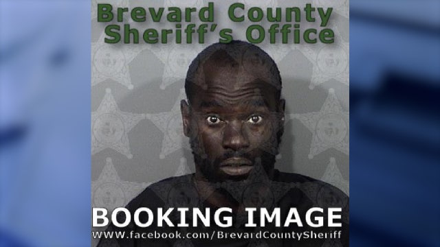 Florida man accused of crashing into multiple cars during high-speed chase