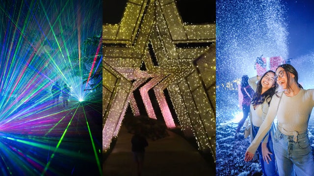 'Dazzling Nights' walk-through Christmas experience returning to Leu Gardens