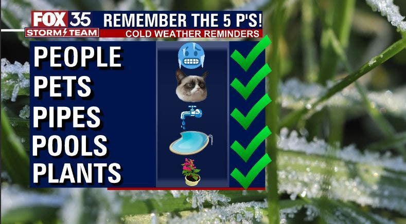 Florida freeze: Remember the 5 Ps to help you prepare for extreme cold