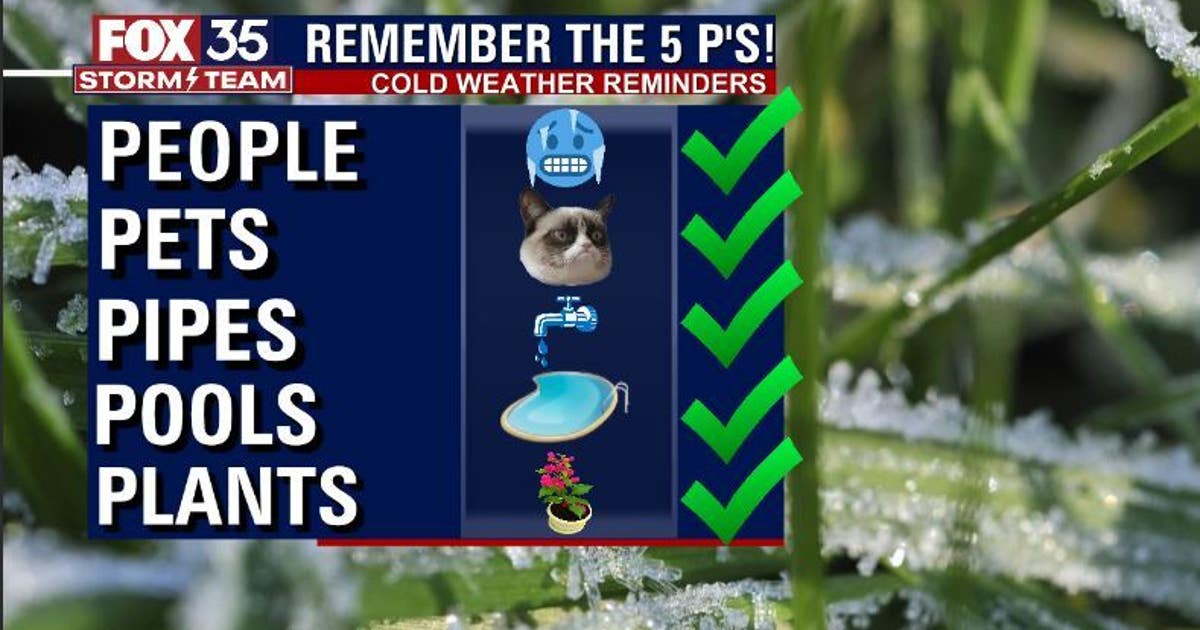 Florida freeze: Remember the 5 Ps to help you prepare for extreme cold