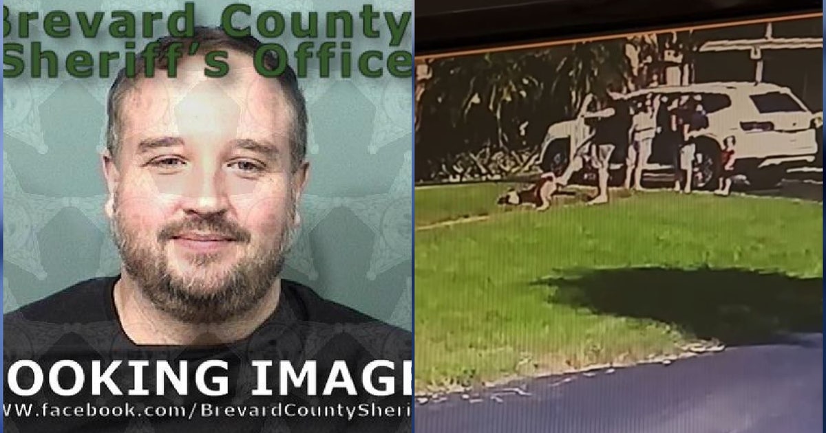 Man charged with animal cruelty after video shows him kicking dog ...