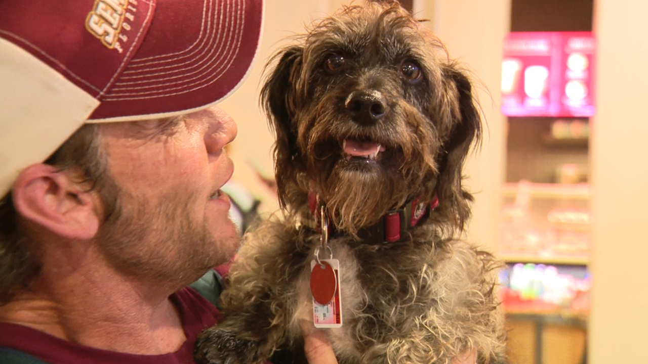 Florida man reunited with dog lost in California 7 months ago