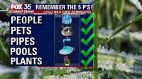 Florida freeze: Remember the 5 Ps to help you prepare for extreme cold
