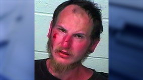 Florida man accused of punching random people