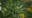 It's now legal to possess and use marijuana in Missouri but you still can't buy it