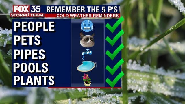 Florida freeze: Remember the 5 Ps to help you prepare for extreme cold