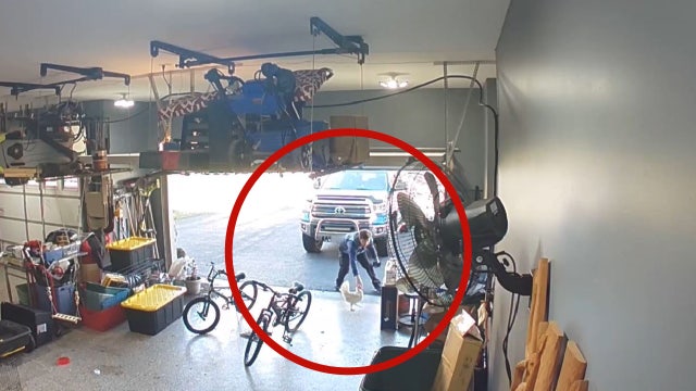 Chicken vs. Amazon delivery driver: Video shows hilarious back-and-forth encounter during package drop-off