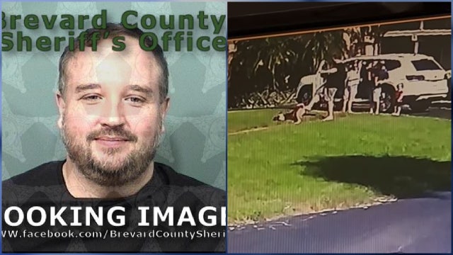 Man charged with animal cruelty after video shows him kicking dog, Florida deputies say