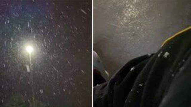 Snow fell in Florida earlier this year: Will it happen during the cold Christmas weekend?