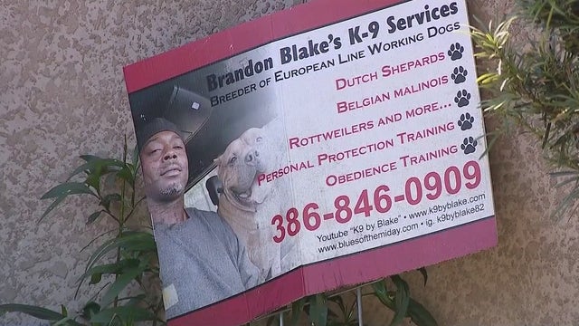 Seminole County Animal Services sues Sanford dog owner who wants 38 dogs back