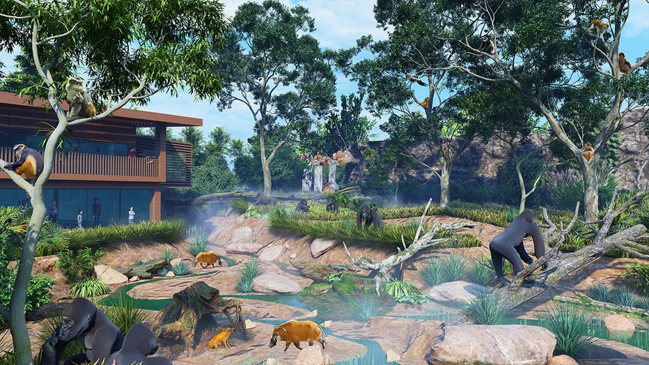 african-realm-zootampa.jpg