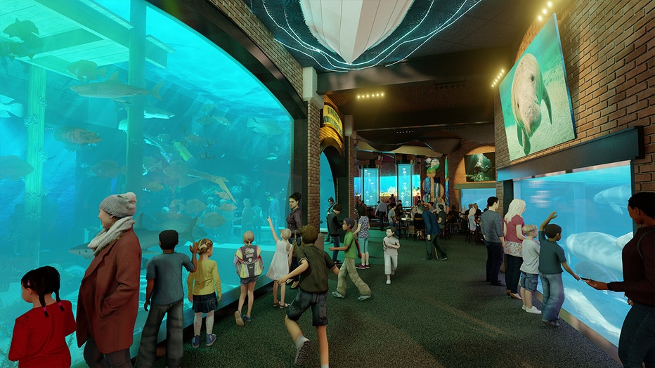 manatee-care-center-expansion.jpg