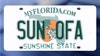 Rejected! License plates deemed too obscene by Florida