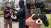 Florida deputies reunite dog with its owner after nanny stole it, left it on side of road: sheriff