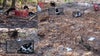 19 kittens, cats left abandoned on side of Florida highway