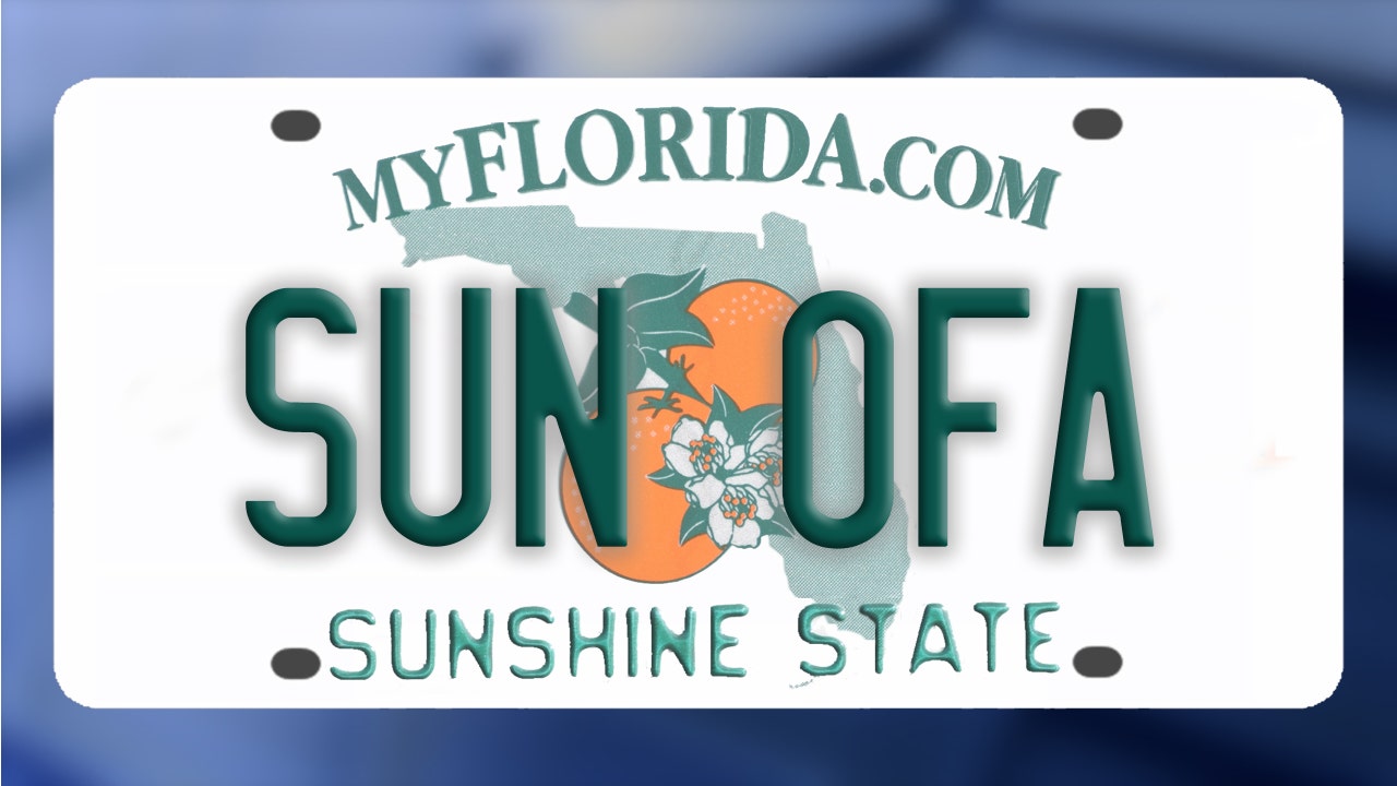 Florida pulling plug on poorly performing specialty license plate