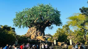 Disney’s Animal Kingdom marks 25th anniversary with celebrations kicking off on Earth Day