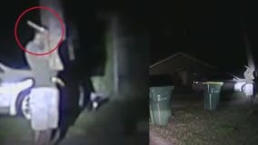 Brevard County Sheriff releases video of tasing incident; experts weigh in