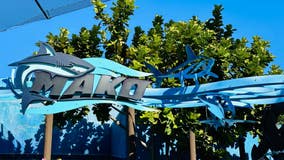 Woman hit in face by duck on SeaWorld Orlando coaster, lawsuit says