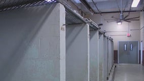 Seminole County Animal Services undergoing renovations