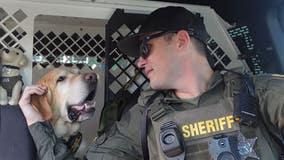 Florida K-9 Jax gets final radio sign-off as he retires after 8 years of service
