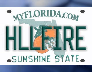 LIST: Rejected Florida license plates too vulgar to be stamped