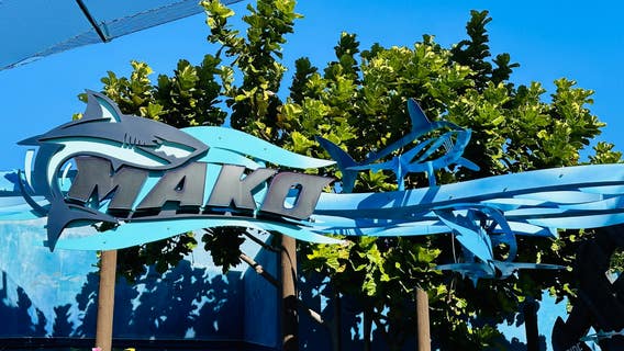 Woman hit in face by duck on SeaWorld Orlando coaster, lawsuit says