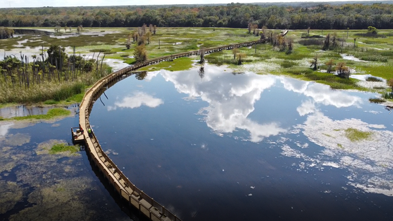 New boardwalk debuts at Orlando Wetlands Park
