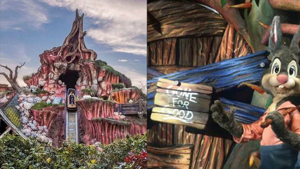 This weekend is your last chance to ride Splash Mountain at Disney World