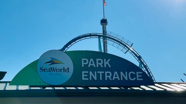 SeaWorld Orlando guests can get a free beer this summer