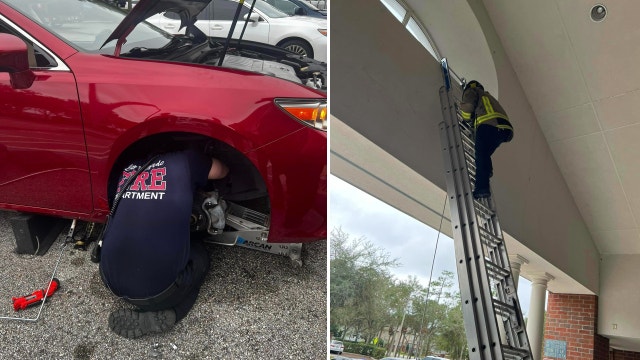 Furry or feathered: Oviedo firefighters take on role of animal rescuers
