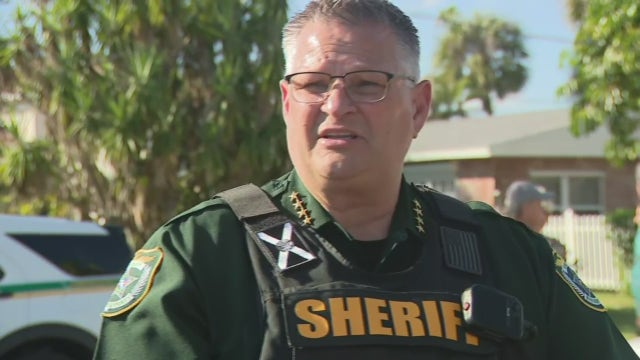 Illegal berry picking leads to arrests of undocumented immigrants in Brevard County: Sheriff