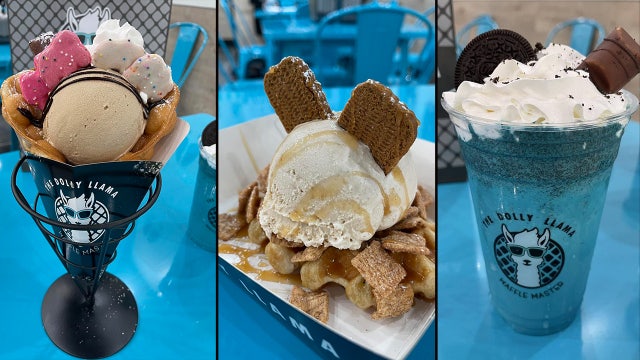 The Dolly Llama: Bubble waffles, artisan ice cream shop opening its first Orlando-area location