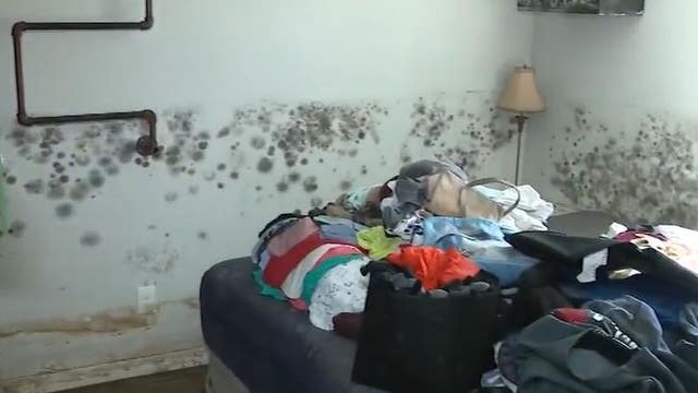 FOX 35 helps Geneva family get flood insurance money after Hurricane Ian