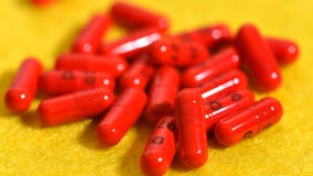 Lake Mary pharmacist convicted in $1M prescription drug fraud: DOJ