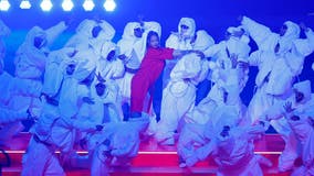 Why Rihanna did not get paid for her Super Bowl performance