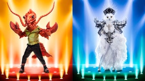 ‘The Masked Singer’: Rock Lobster and Night Owl revealed